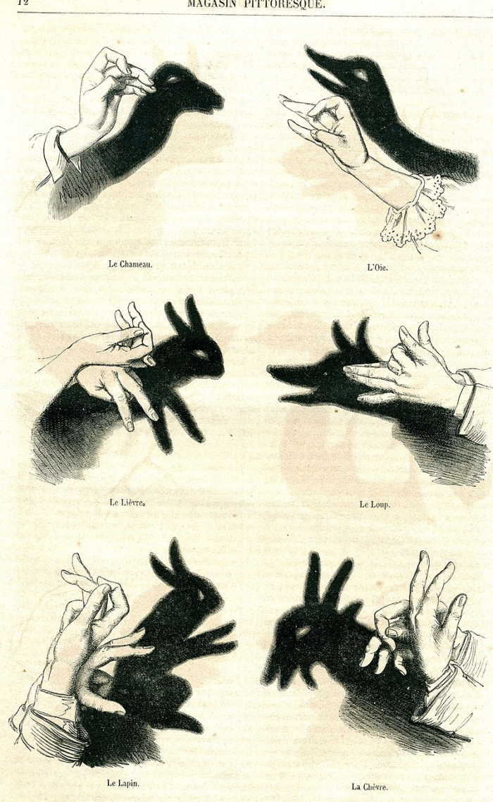 An example of a game of hand shadows