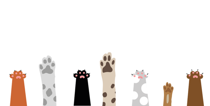 An illustration depicting the paws of various pets